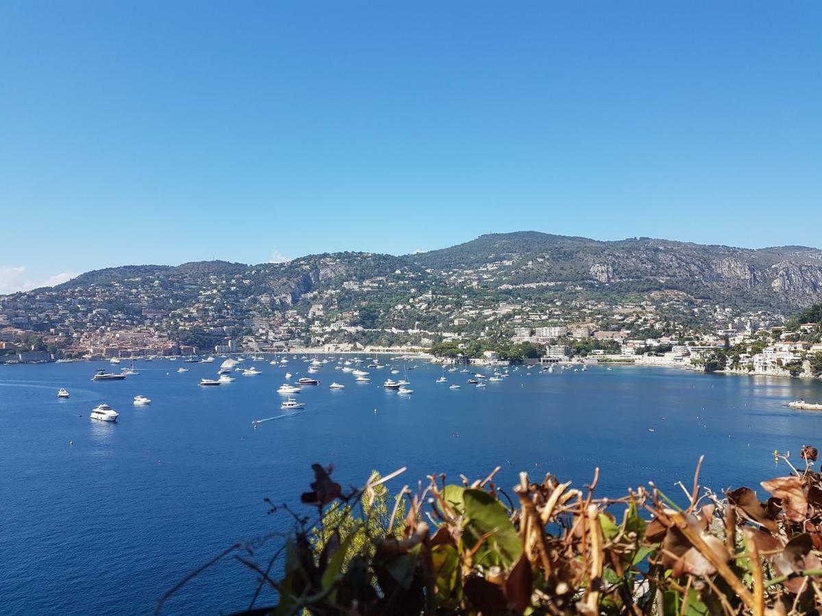 Les Palmiers A 700M De La Mer Nice Exterior foto